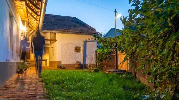 Cejkovicky Domek Cejkovice  Bagian luar foto